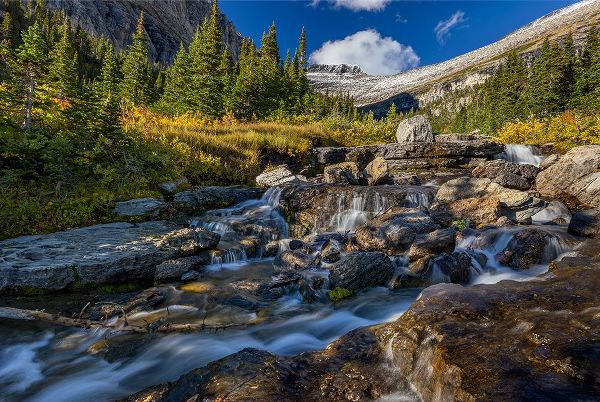 Haney, Chuck 아티스트의 Lunch Creek with Pollock Mountain in Glacier National Park-Montana-USA작품입니다.